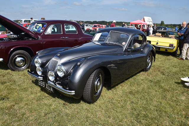 badjun32023 (1125) badjun32023 (1125)