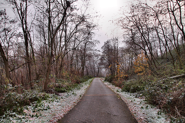 Weg auf dem Alsumer Berg (Duisburg-Bruckhausen) / 17.12.2022