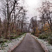 Weg auf dem Alsumer Berg (Duisburg-Bruckhausen) / 17.12.2022