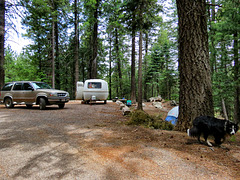 Riggs Flat Campground