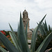 Church Behind The Cactus