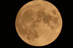 The Harvest Moon - Sept. 2022