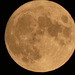 The Harvest Moon - Sept. 2022