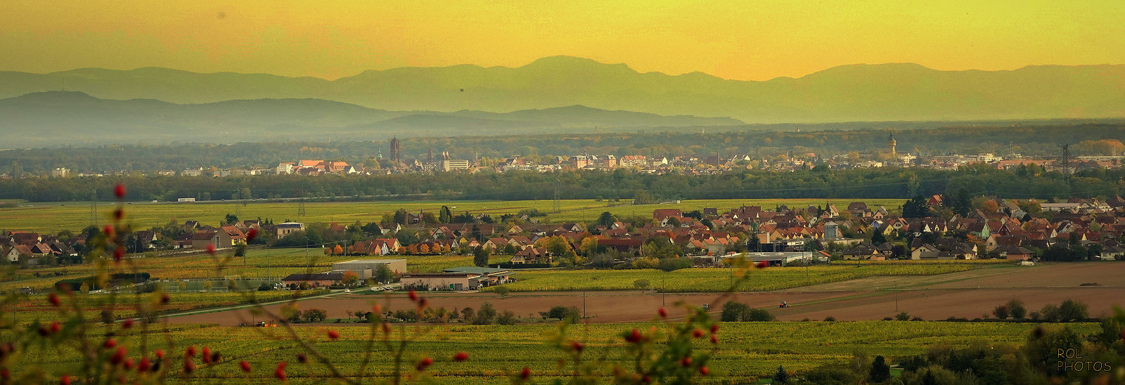 à l'horizon, la Forêt Noire,