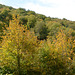 Autumn in the Mountains of North Macedonia