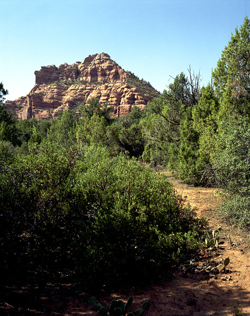 Zion Uplands