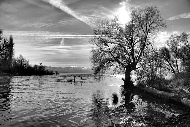 Argenmündung am Bodensee