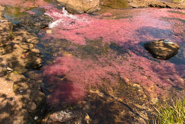 EF7A7456 Trankilandia River