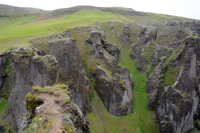 Iceland, Cliffs of the Fjaðrárgljúfur Canyon