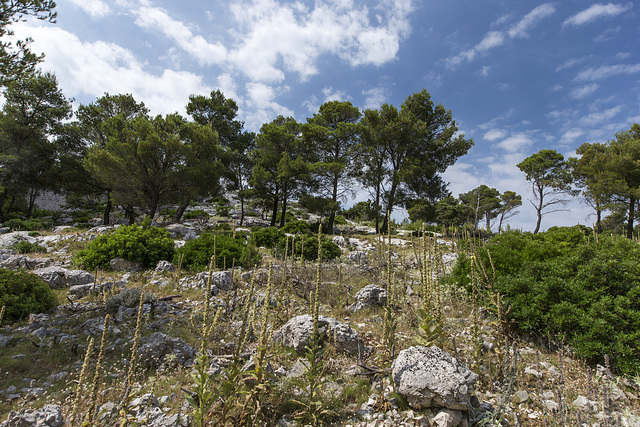 Grebastica - Croazia