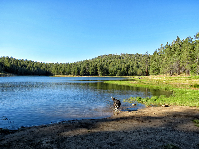 Riggs Flat Lake