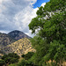 The Huachuca Mountains