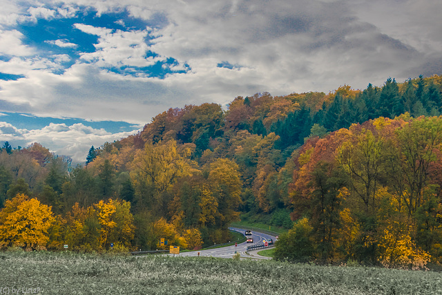 Fall Colors and a Tiny Fence (180°)