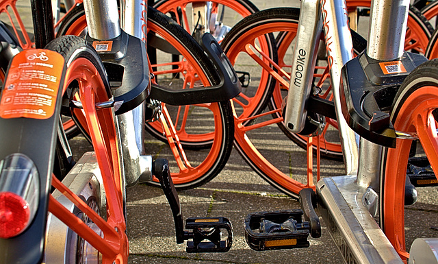 Bikes and Bright Surroundings