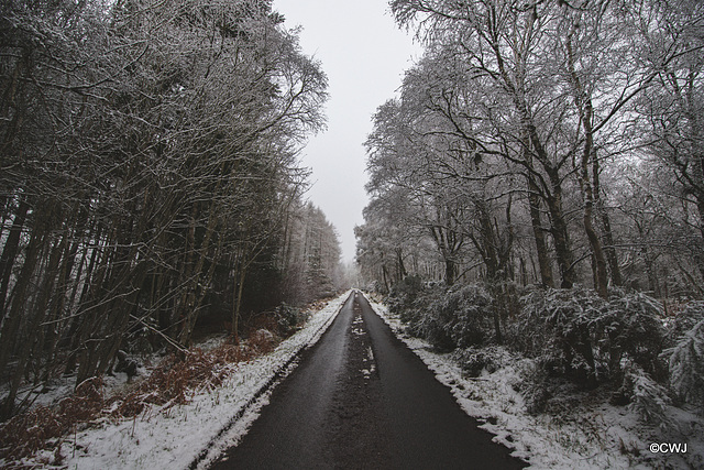 Country road - Storm Christoph