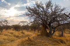 Namibia-0666