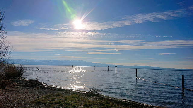 Argenmündung bei Langenargen/Bodensee (PicinPic)