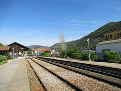 Pinhão