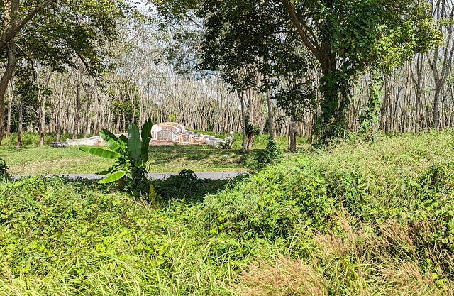 Cimetière à saveur thaïlandaise / Thai cemetery amidst nature