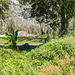 Cimetière à saveur thaïlandaise / Thai cemetery amidst nature