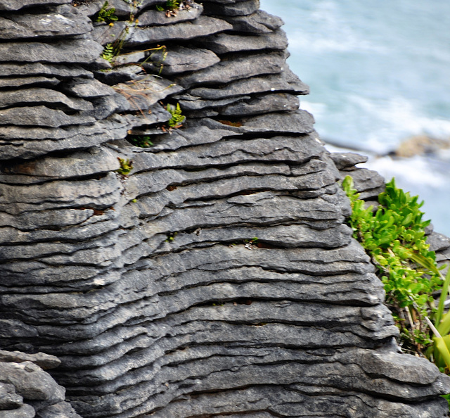 New Zealand New Zealand