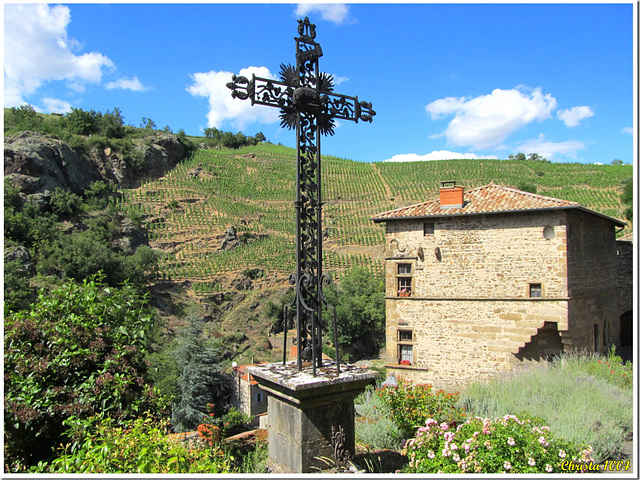 Gardien des vignobles...