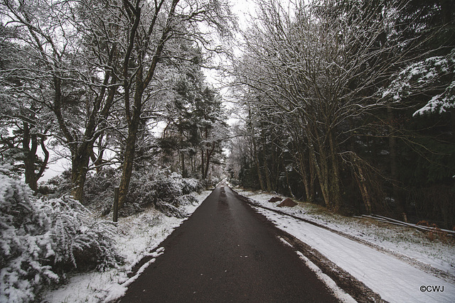 Country road - Storm Christoph