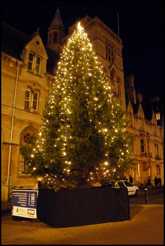 council crimble tree