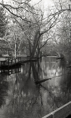 Quiet Stream