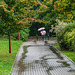 268-365, ein regnerischer UND windiger Tag