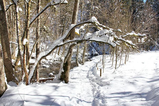 Winterwelt im Eistobel