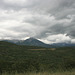 IMG 7224 adj