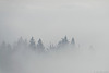 Blick vom Uetliberg in Richtung Zürich (© Buelipix)