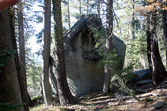 Erratic in the Forest
