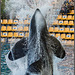 Orca Springbrunnen