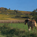 Fränkischer Herbst