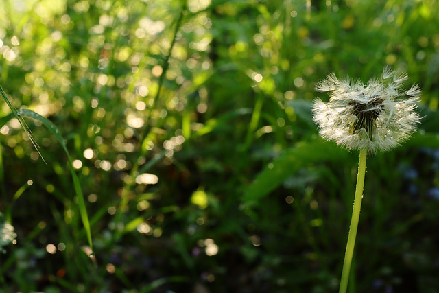 Blendenreihe f/5.6