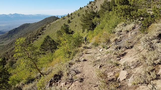Columbine Creek trail