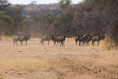 Namibia-0673