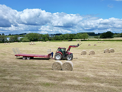 Collecting the bales