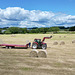 Collecting the bales
