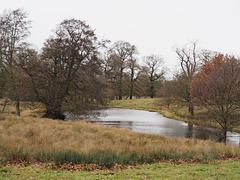 Autumn at Belton