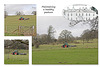 Maintaining healthy pasture at Stanmer Park - 1.4.2016