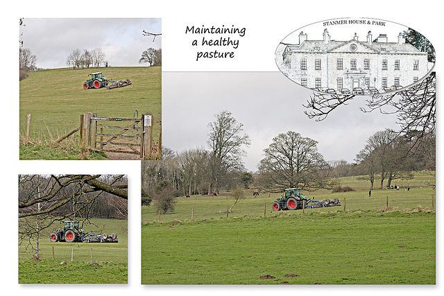 Maintaining healthy pasture at Stanmer Park - 1.4.2016
