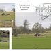 Maintaining healthy pasture at Stanmer Park - 1.4.2016