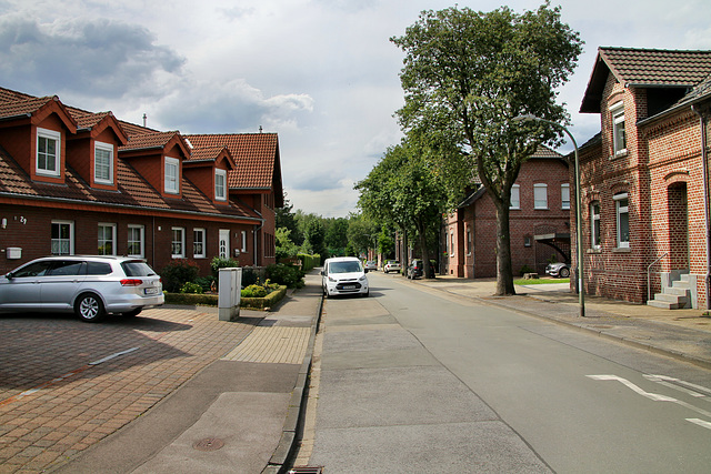 Haßlacherstraße (Bottrop-Ebel) / 9.06.2019
