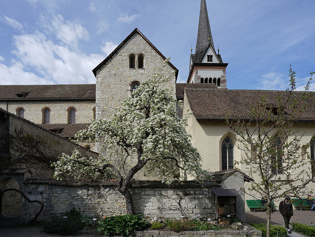 Schaffhausen / Münster / Klostergarten / 14.04.23