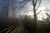 unterwegs auf dem Uetliberg (© Buelipix)