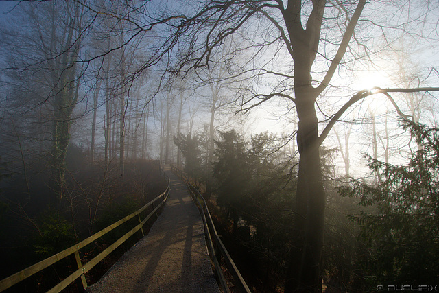 unterwegs auf dem Uetliberg (© Buelipix)