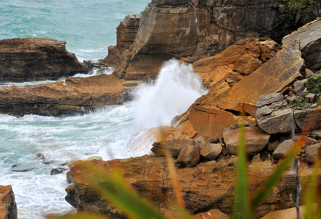 New Zealand New Zealand
